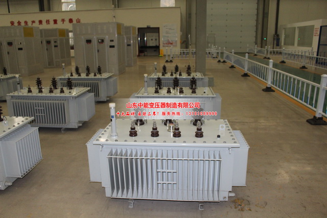 西乌珠穆沁S20变压器